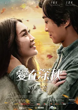 爱在深秋 (2016)