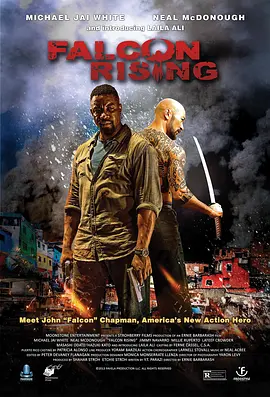 猎鹰突起 Falcon Rising (2014)