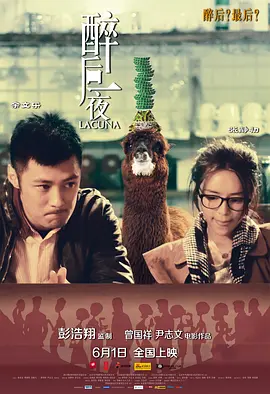 醉后一夜 (2012)