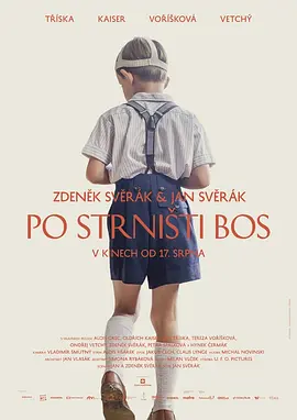 赤足 Po strnisti bos (2017)